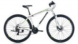 Bianchi - BianchiAspid 39 29 Jant 21V MD Dağ Bisikleti